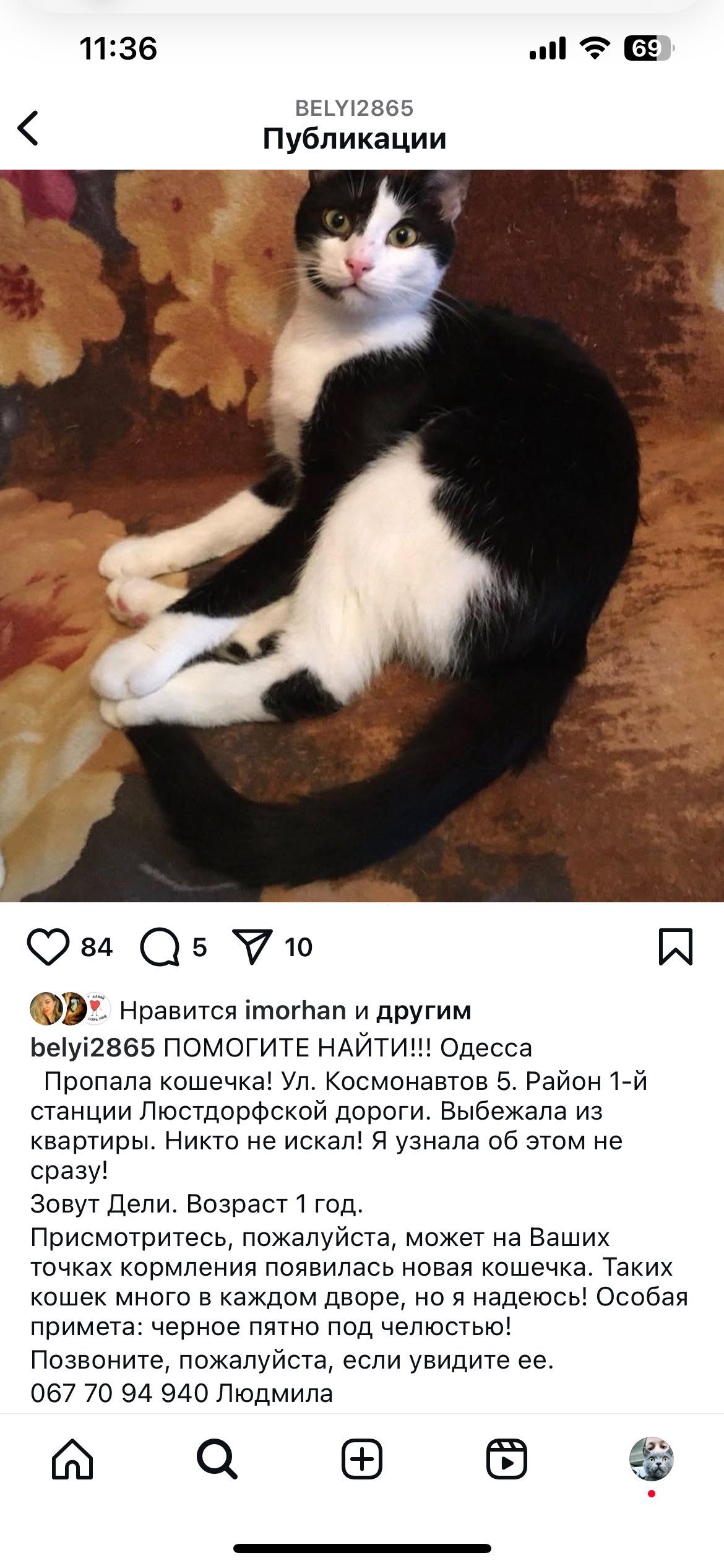 Помогите найти кошку . Космонавтов 1 станция Люстдорфской дороги