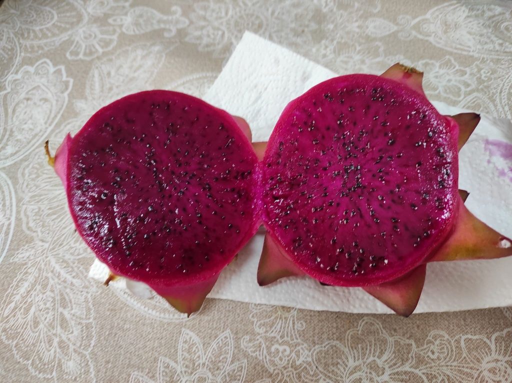 Rebentos pitaya 2.50