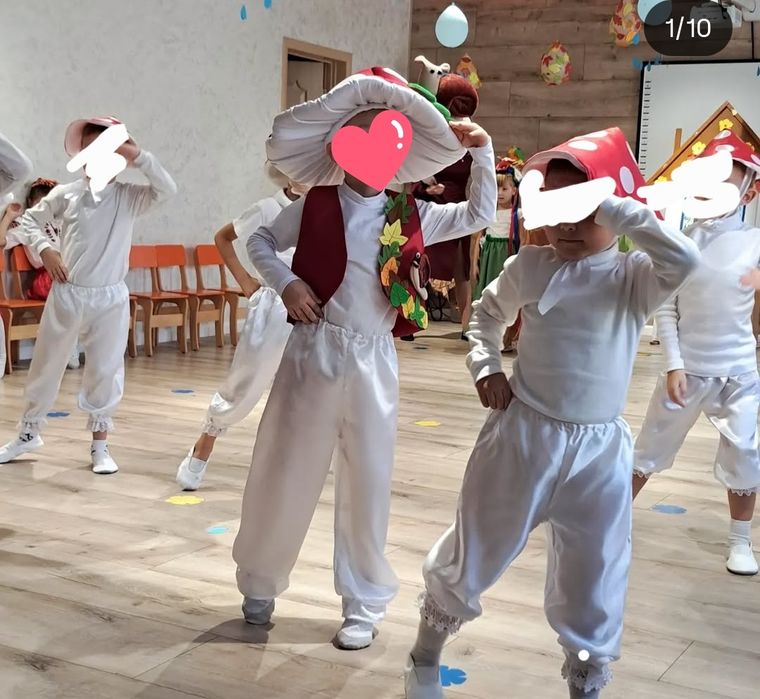 Мухомор, білий гриб, коричневий гриб