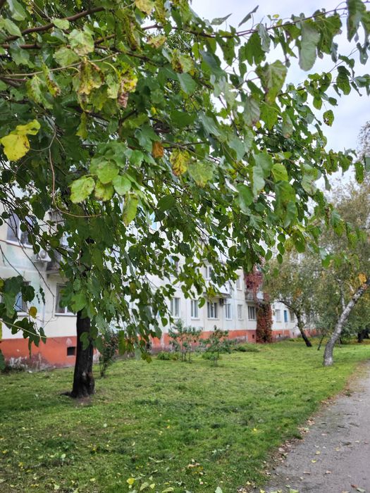 Срочно 2 ком кв в центре недорого