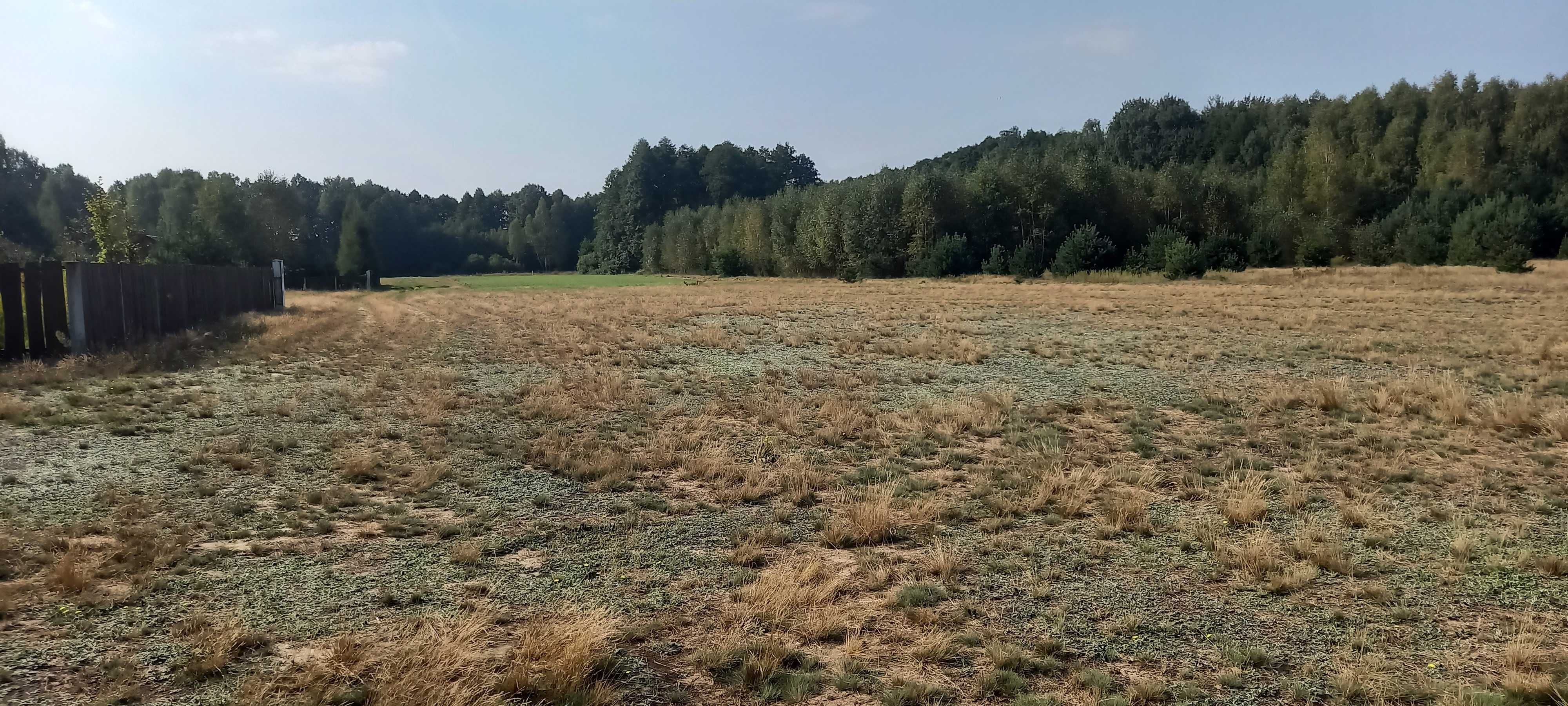 Sprzedam działkę Łysobyki 1000m.