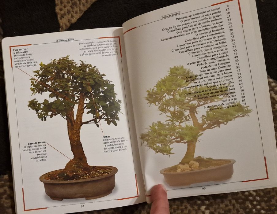 Vendo livro o cultivo do Bonsai