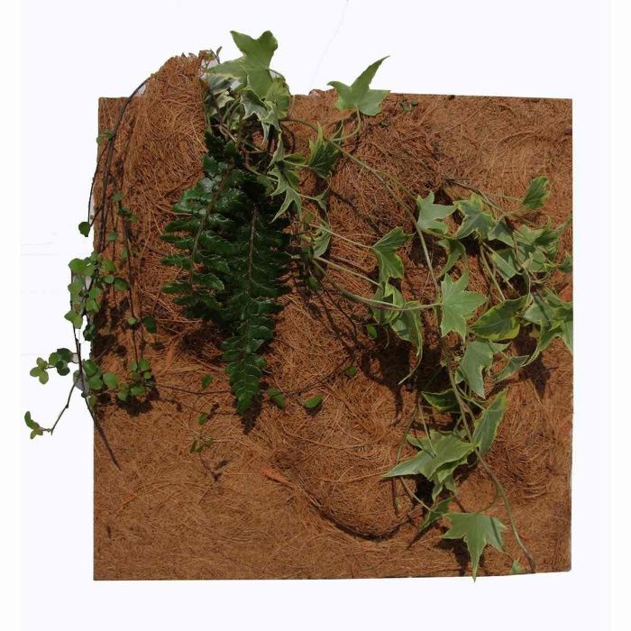 Ścianka do terrarium panel włókno kokosowe 20x30cm terrarium do pająka