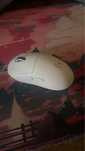 Logitech G Pro X Superlight 2
