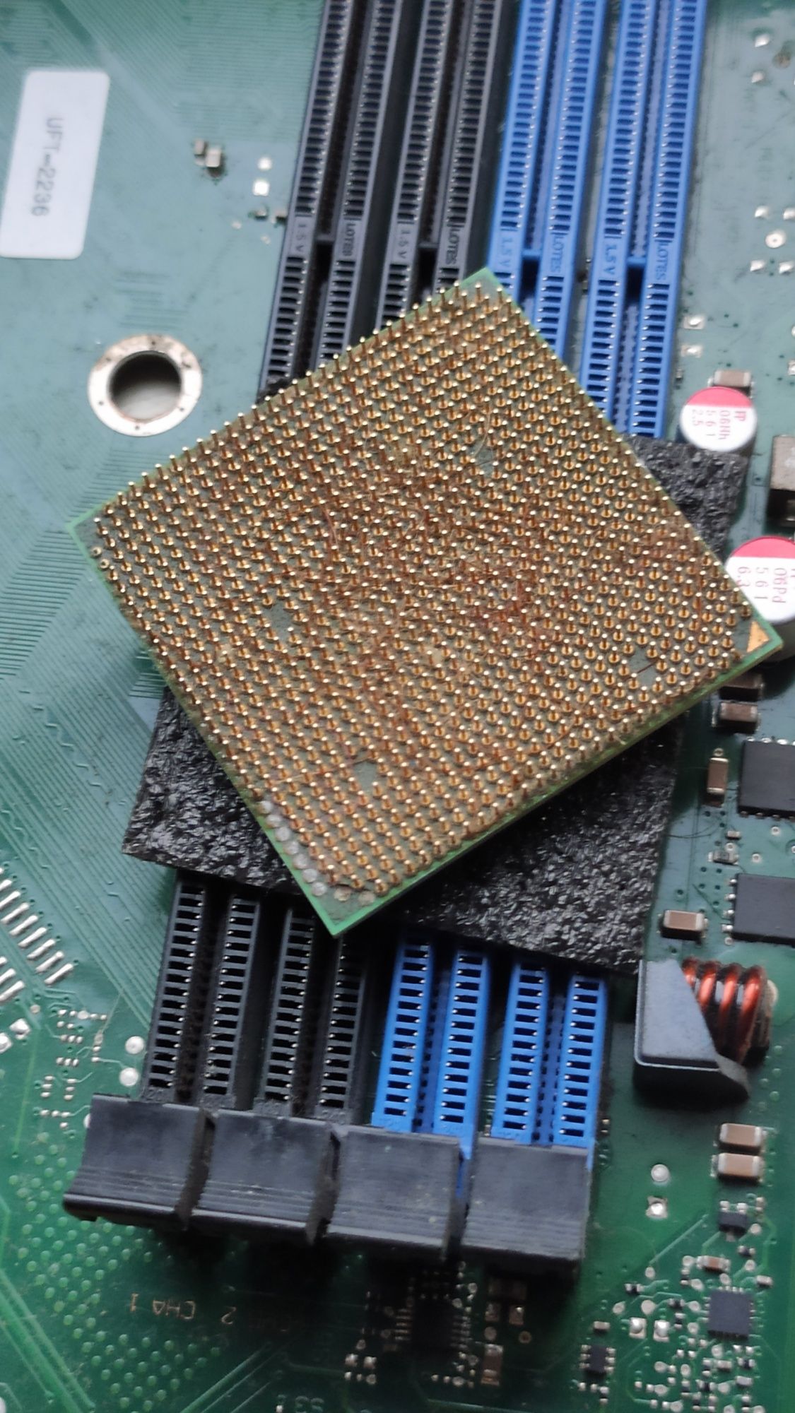 AMD Athlon 64 процесор