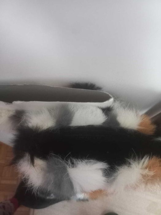 par  de botas peludas para o inverno