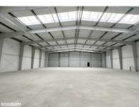 Nowa hala - 1100m2 lub 550m2 - węzeł Miszewo