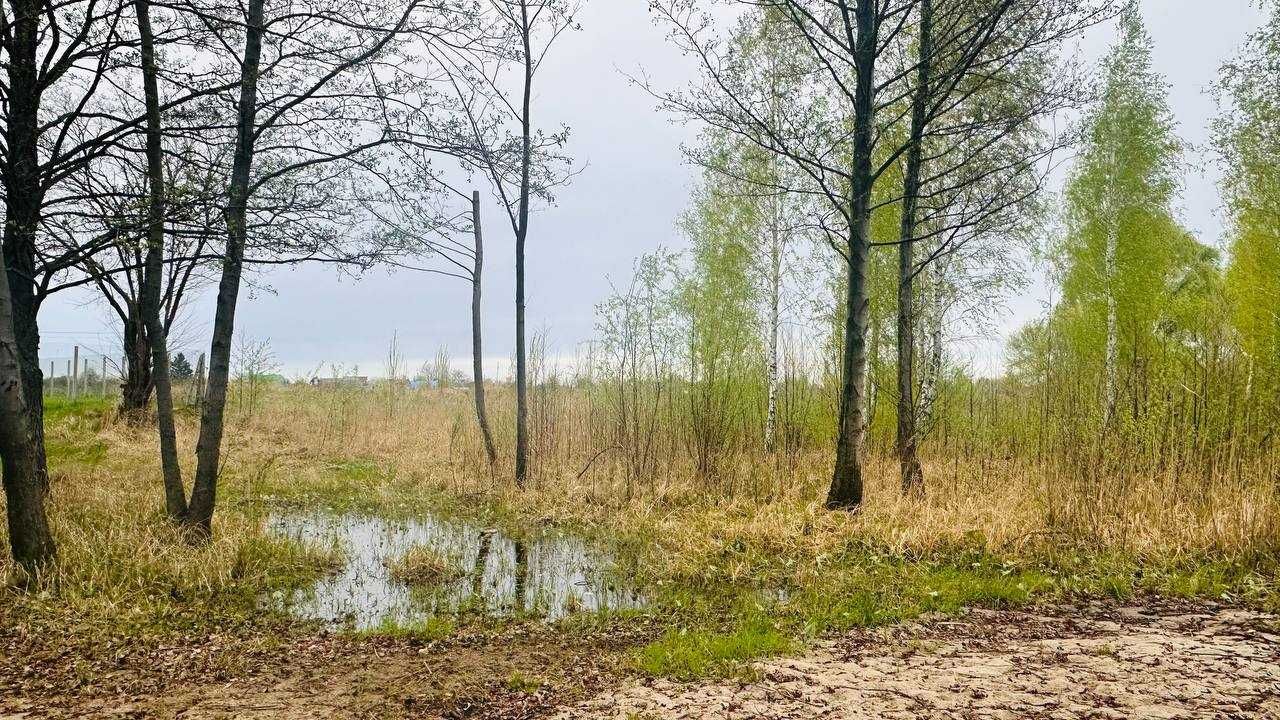 Земельна ділянка на березі Київського моря між лісами. Під забудову!