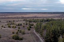 Земельна ділянка, 200 соток. Нижча Дубечня, Вишгородський район
