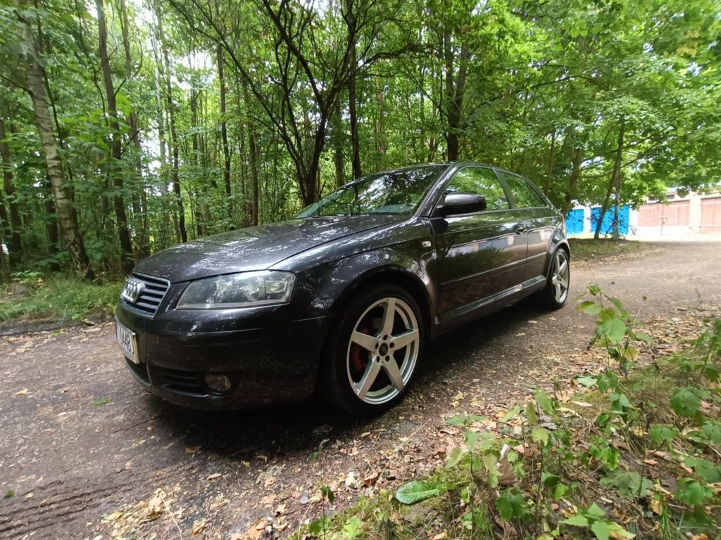 Audi a3 8p 1.6MPI Zadbany!!Prywatnie!!LPG