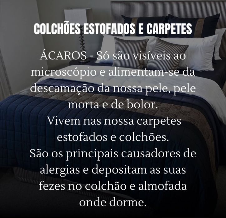 Higienização e lavagem a seco do seu estofado e carpetes.