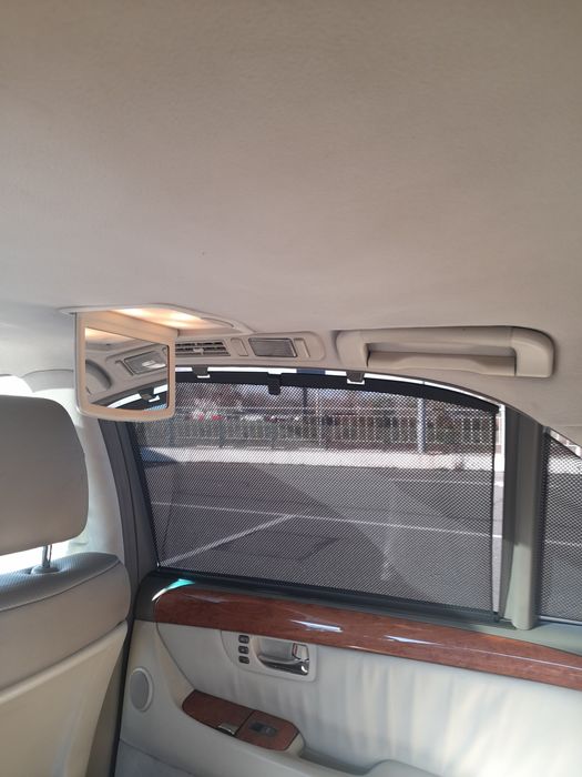 Продам "японського кабана"