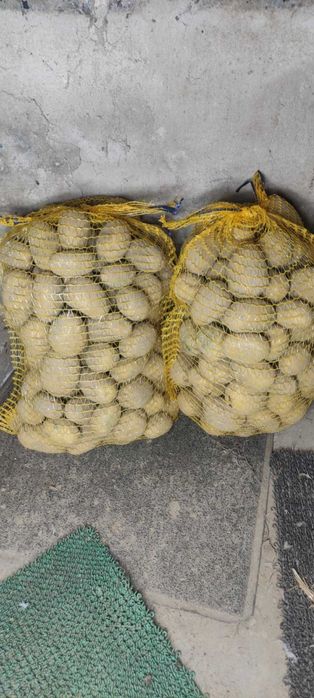 Sprzedam ziemniaki soraya