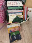 Livros vários usados - lote