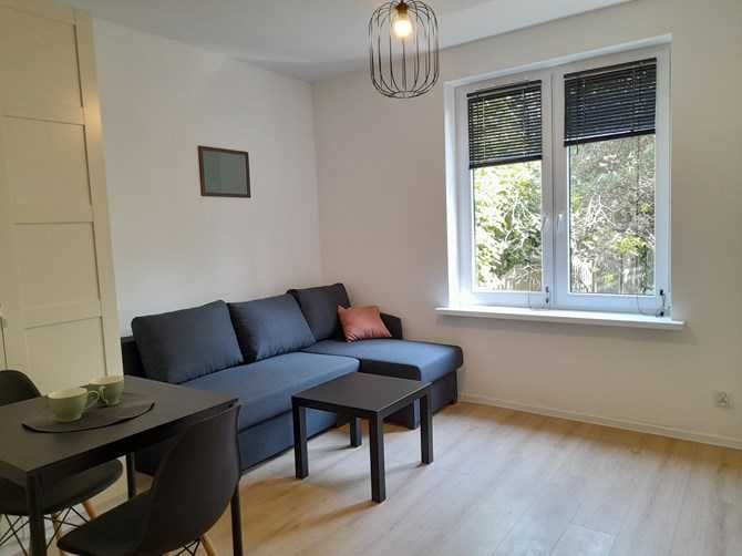 Wynajmę studio przyjazne zwierzętom, Tomasza 5, BRAK PROWIZJI