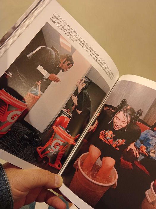 Livro ilustrado de Billie Eilish