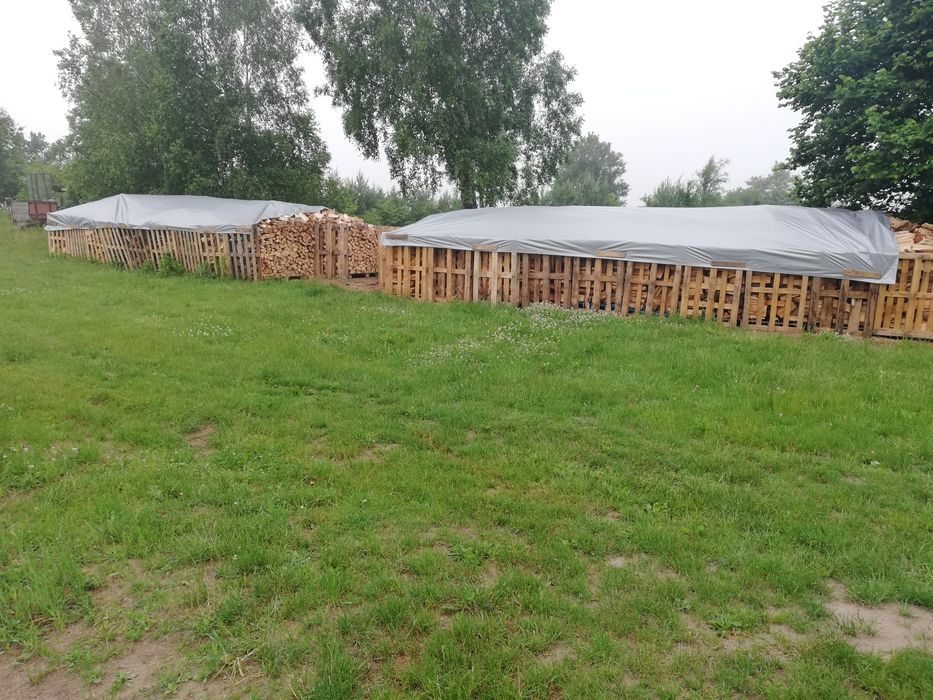 Drewno opalowe dąb. bug. Sosna brzoza kominkowe