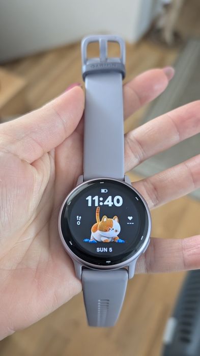 Smartwatch Garmin