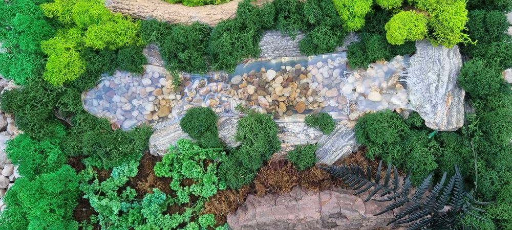 Obraz żywy . Mech chrobotek.  47 x36 w drewnianej ramie