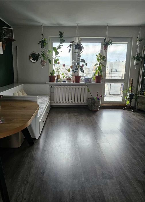 Wynajmę mieszkanie Fordon 53m z piwnica ! Świetna lokalizacja