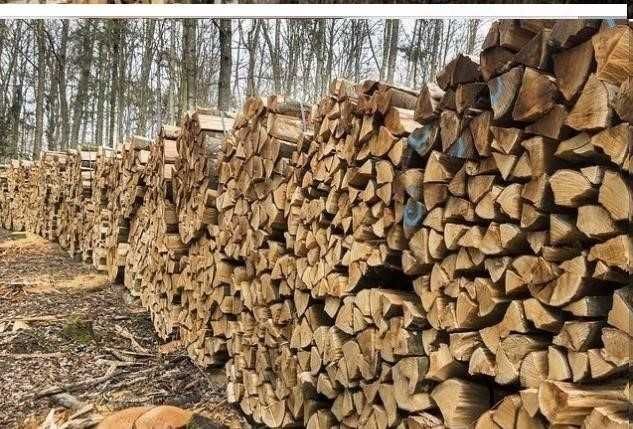 Сухие дрова! Клен, Берест, Дуб, Ясень, Акация. Запорожье и область.