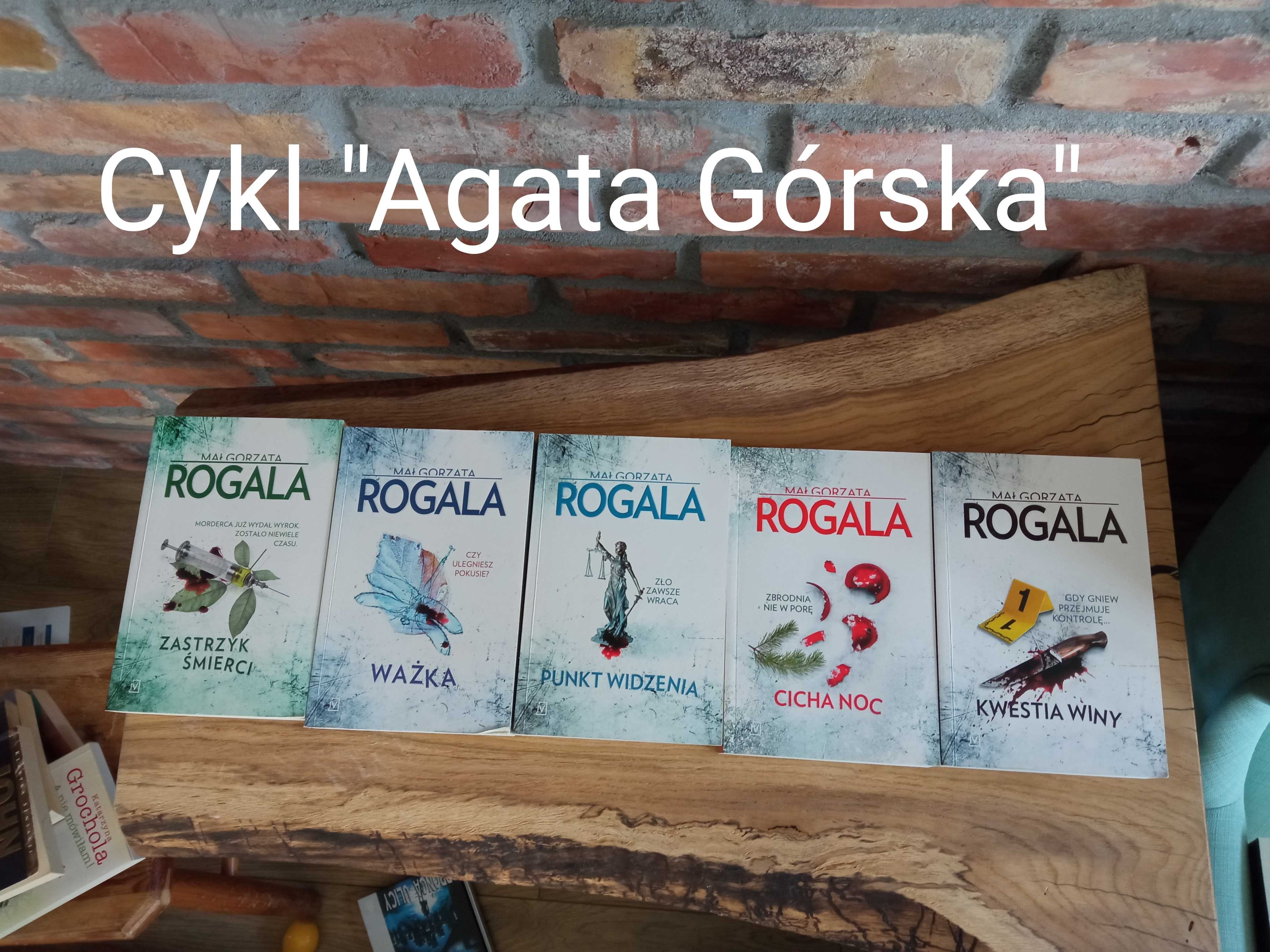 12 książek Małgorzata Rogala