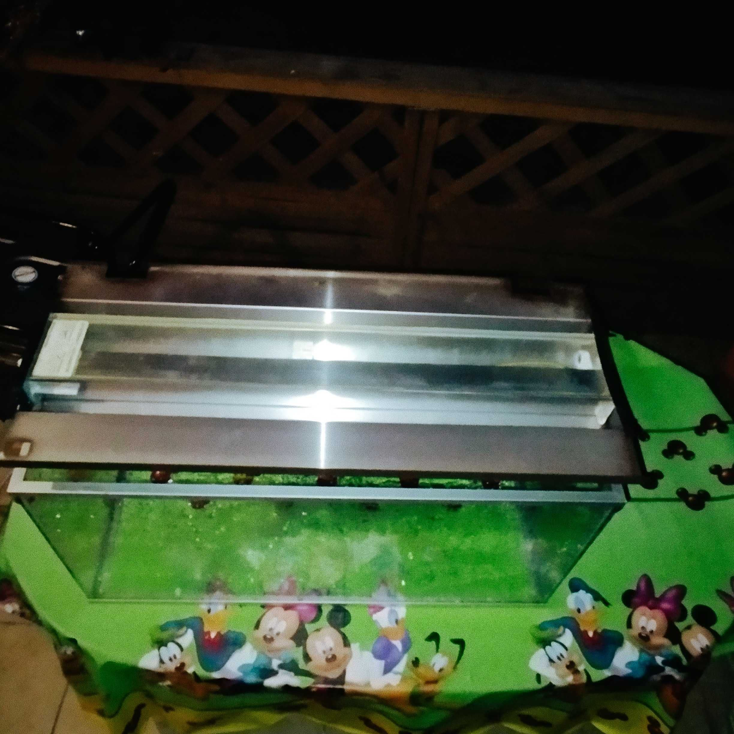 Akwarium  80x40x35 + lampa  dużo modeli w ofercie