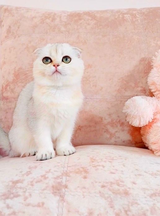 Висловуха дівчинка красунечка чекає на свою сім'ю