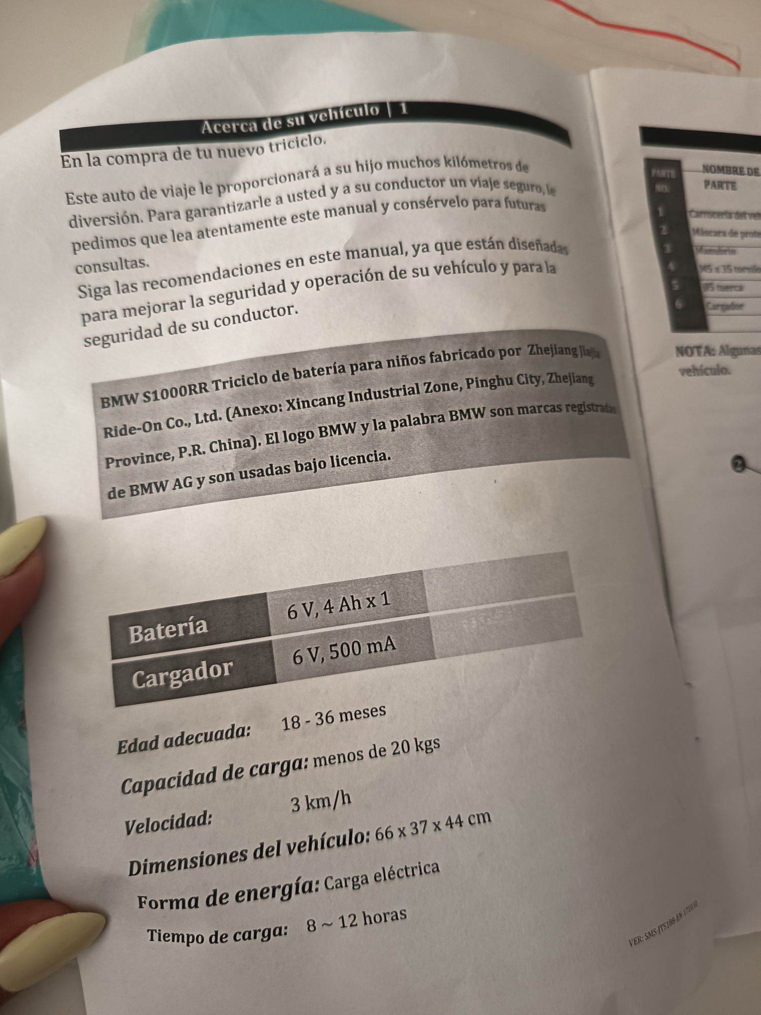 Mota Elétrica BMW