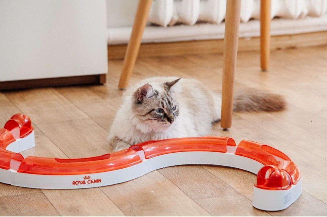 Игрушка для кошек, котов