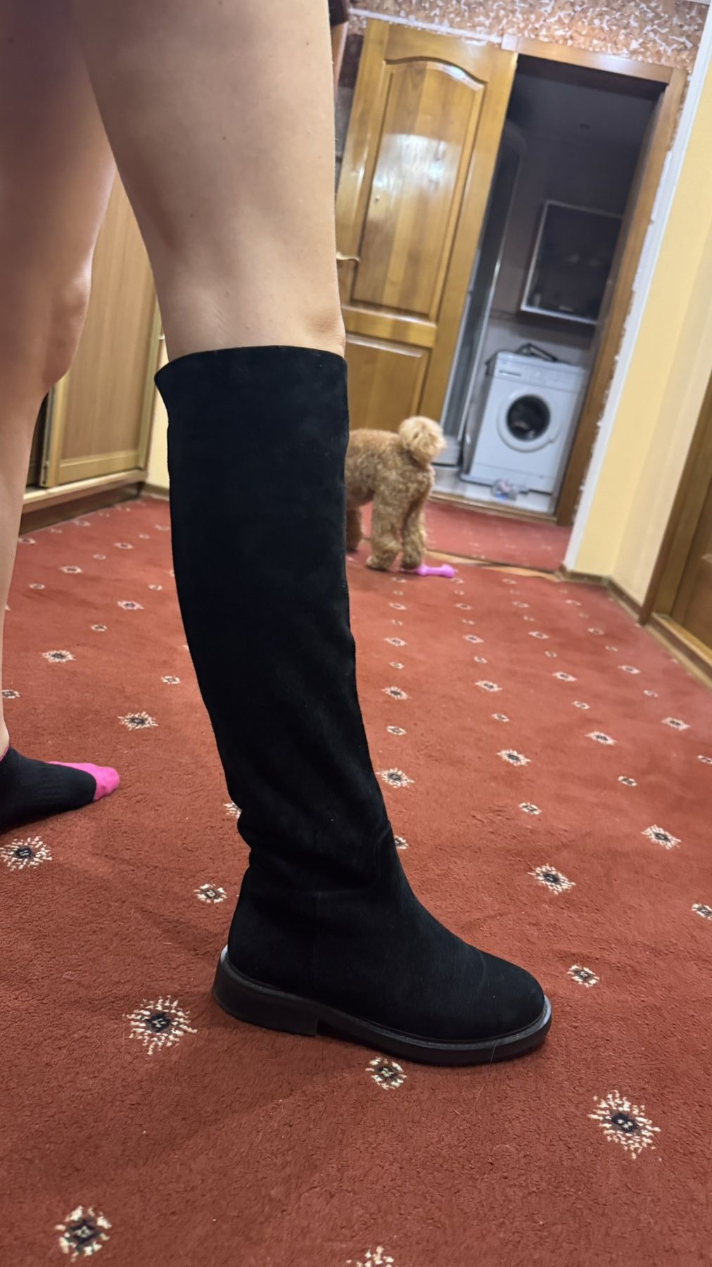 Продам демисезонние сапоги