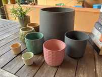 Vários vasos de plantas em tamanhos diferentes