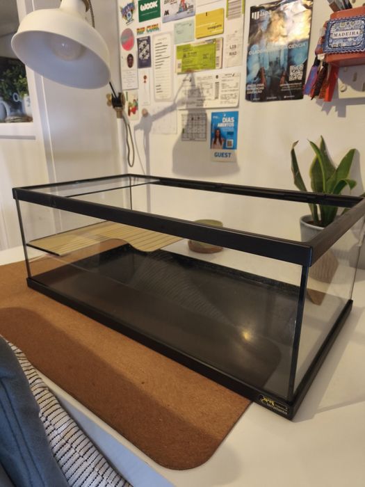 Pack inicial de tartarugas