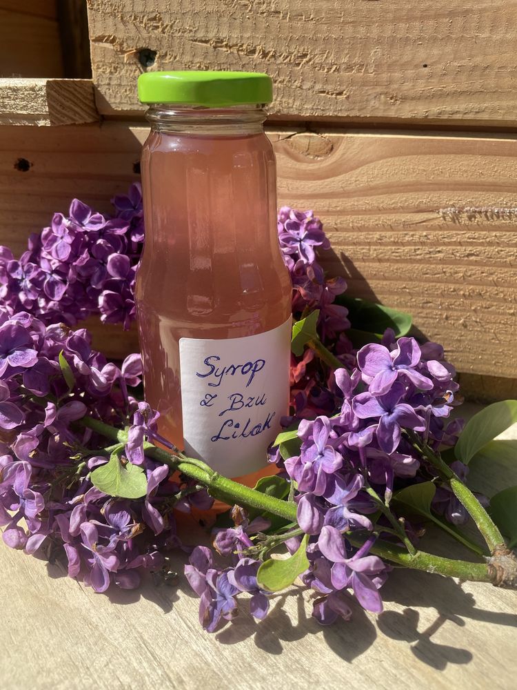 Syrop z Pędów sosny,Akacji, Bzu  Lilak ,Mniszek,Pedy sosny ,i inne..