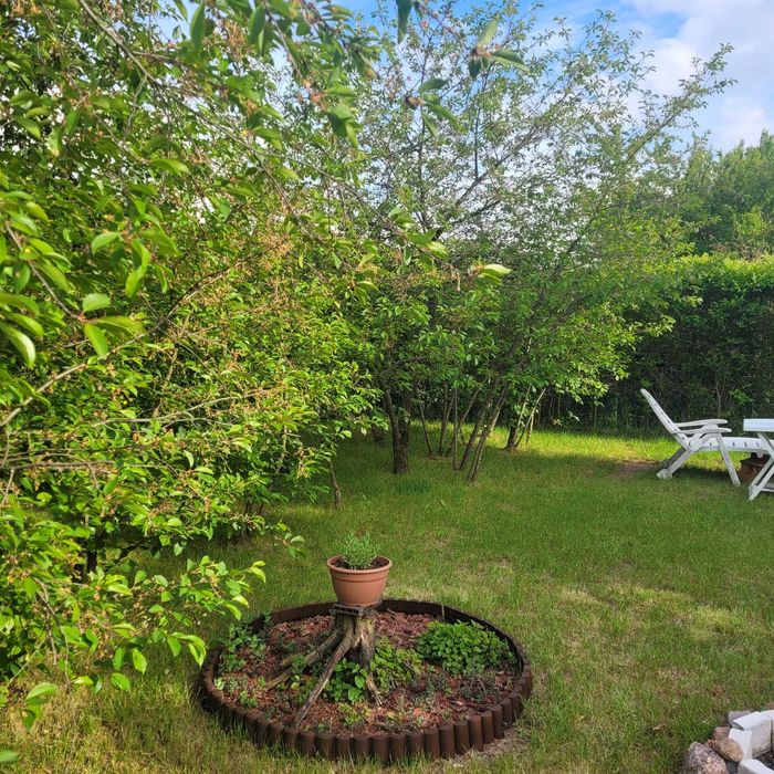 Działka ROD Rekreacyjna