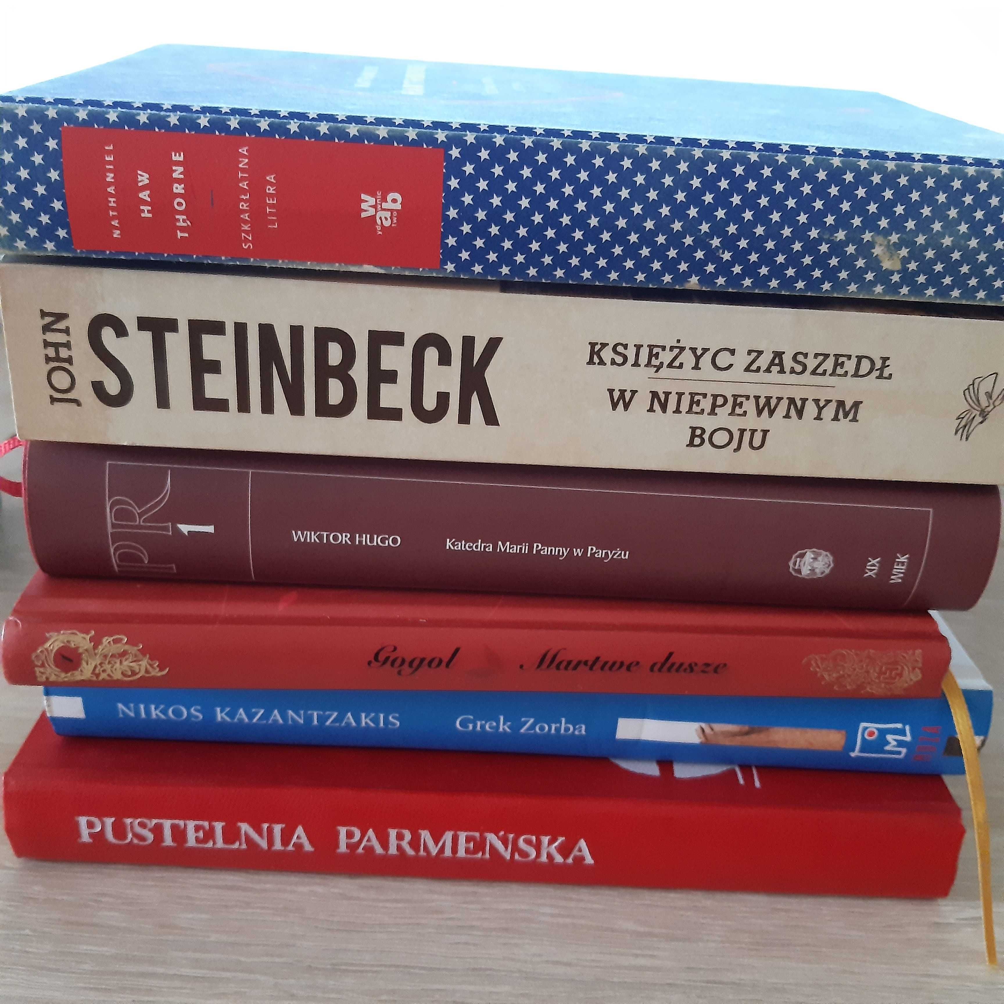 Literatura światowa-31 książek