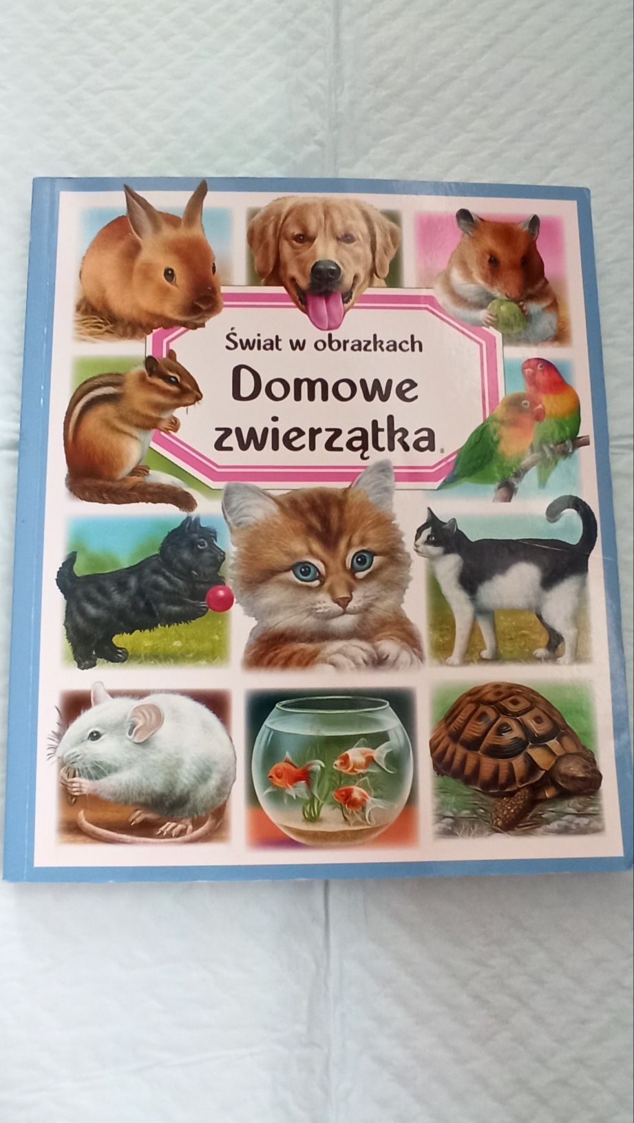 Książeczka dla dzieci Domowe zwierzątka