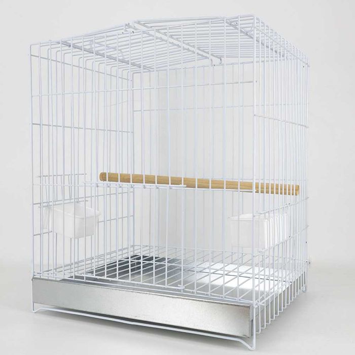 Gaiola para Ring neck, caturras