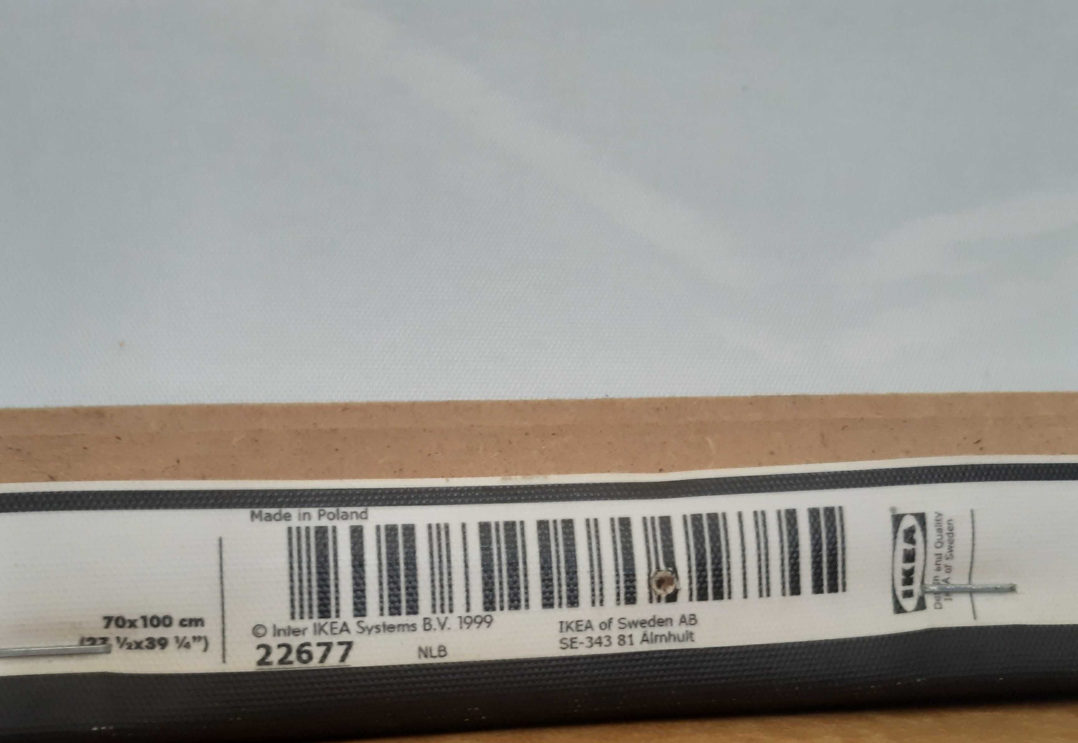 Quadro IKEA Pjatteryd Tela Impressa 100x70cm Barco no Lago