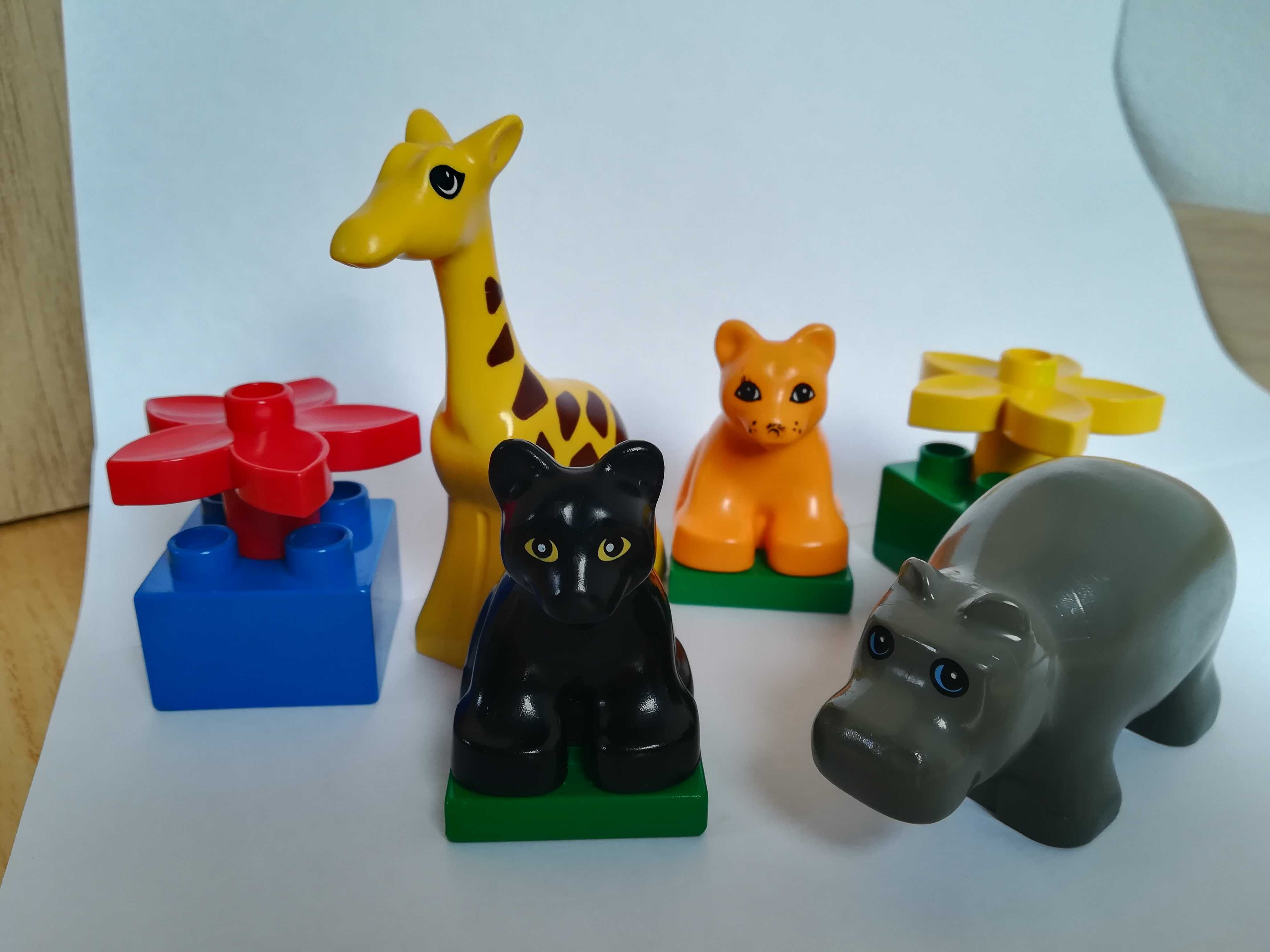 Klocki lego duplo zwierzątka