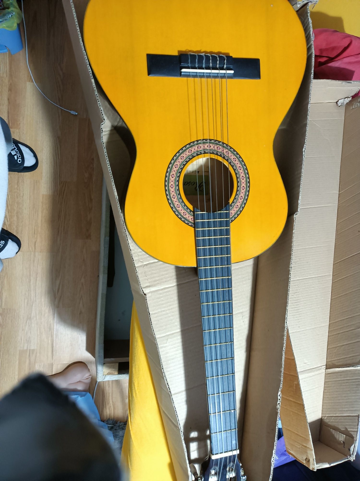 Gitara Rosario MC6401