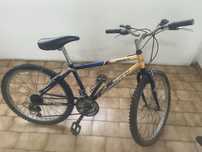 Bicicleta Roda 24