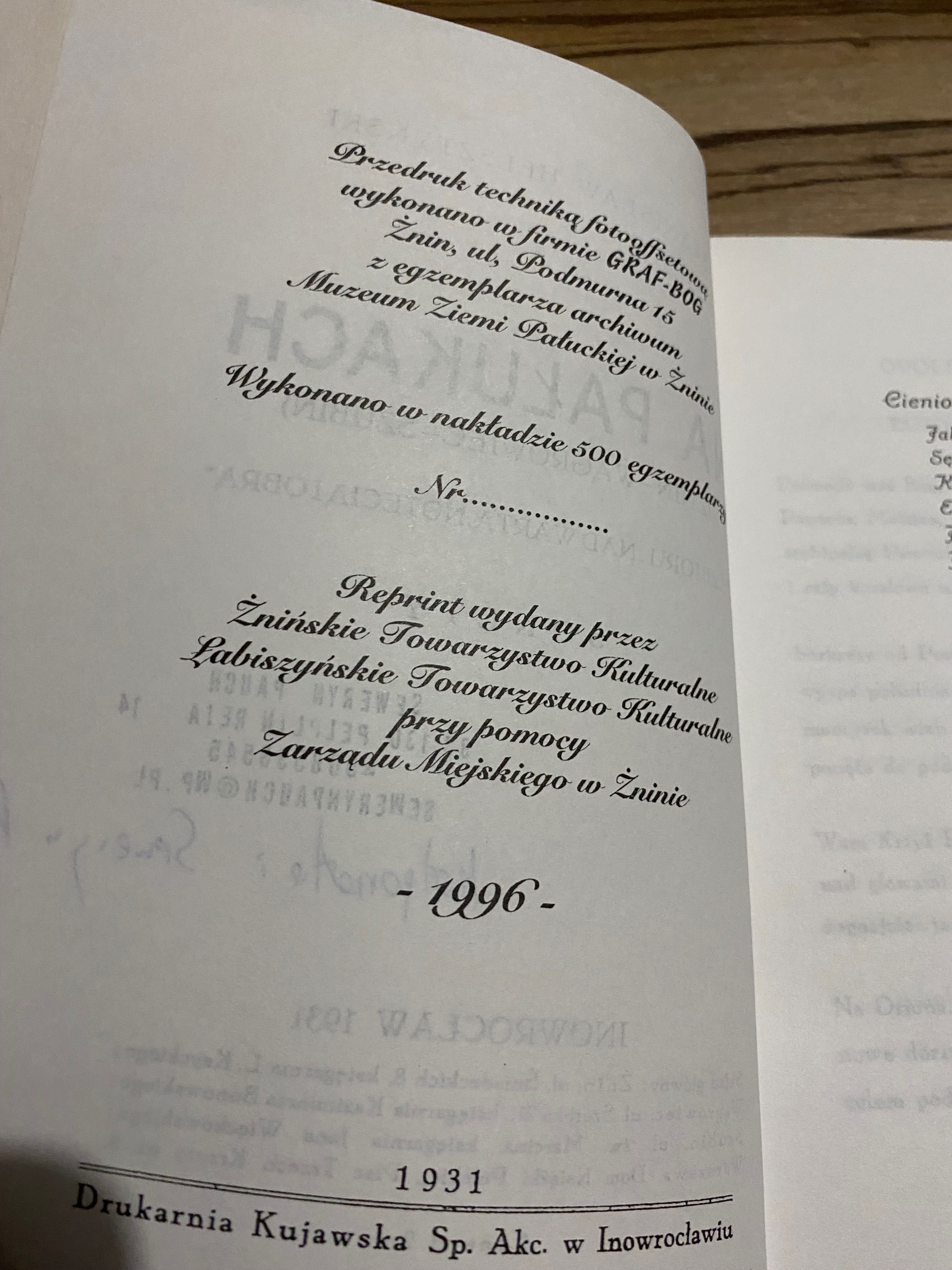 Na Pałukach (Żnin, Wągrowiec, Szubin). Sonety. Reprint 1931