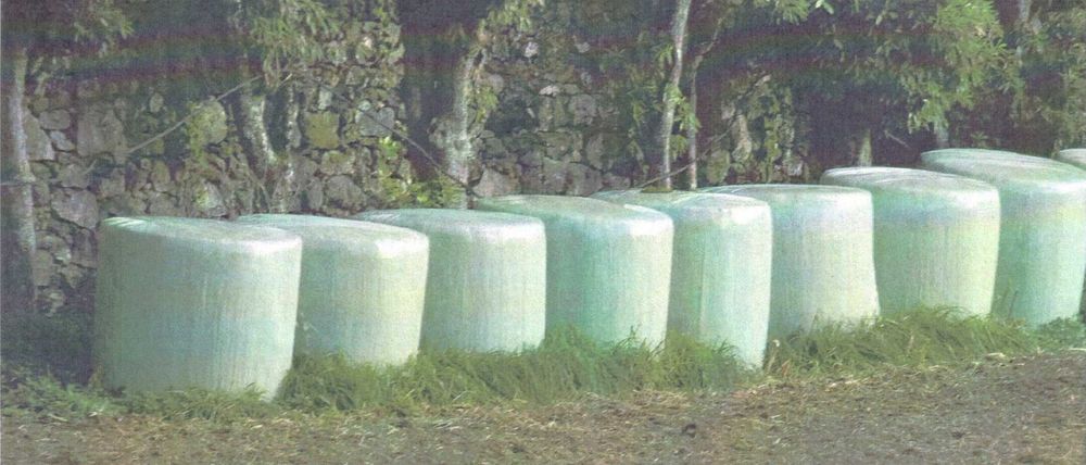 Rolos de Erva (Grandes)