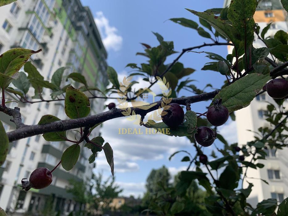 Продам 1-кімнатну квартиру в ЖК Сирецькі Сади