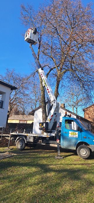 Zwyżka Podnośnik Koszowy 20m Wynajem . Cięcie i podcinanie drzew ..