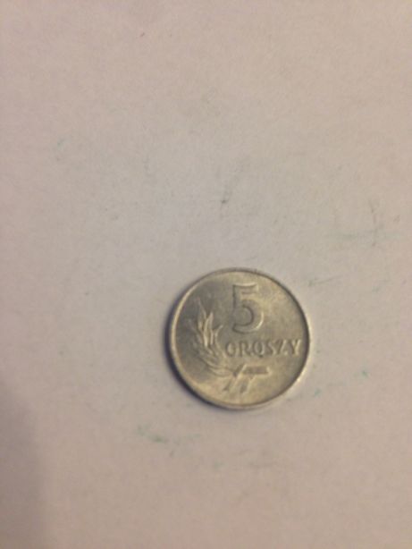 Moneta 5 groszy z 1972 roku