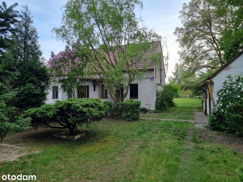 Dom do remontu na dużej działce - Suchy Bór