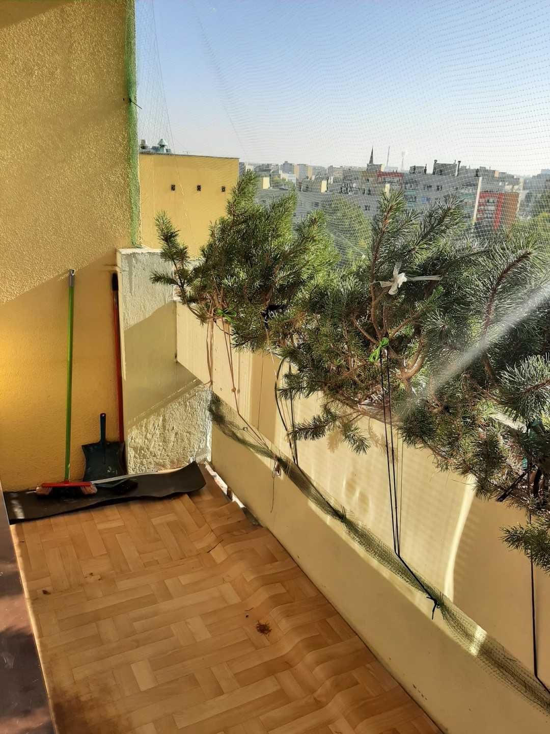 Wynajmę mieszkanie na ul. Hynka, 47 m2, balkon, 1950 zł