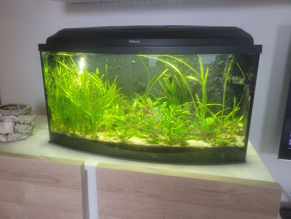 Akwarium profilowane 112litrow